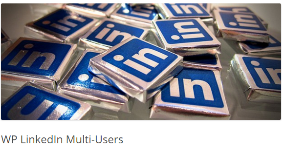 WP LinkedIn Multi-Users