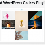 Plugin WordPress miễn phí nào tốt nhất cho Thư viện ảnh?