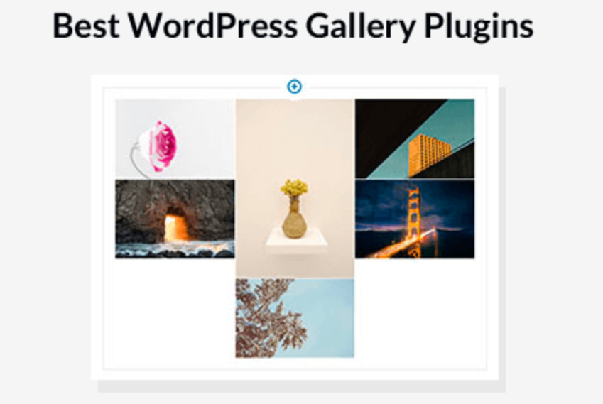 Plugin WordPress miễn phí nào tốt nhất cho Thư viện ảnh?