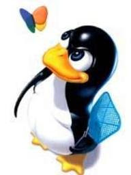 Hosting Linux là gì?