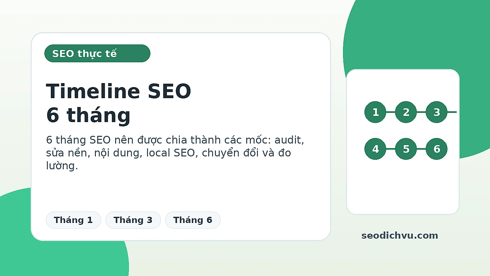 Timeline SEO 6 tháng cho chủ shop tại TPHCM